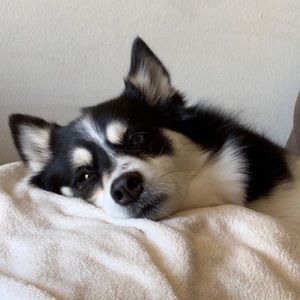 Meet your Posher, Micah